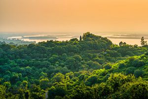 AI-Assisted Forest Fire Detection