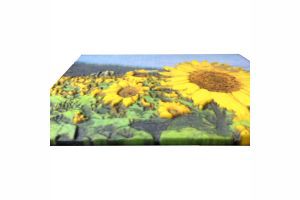 ComeTrue 3D 創造全彩浮雕3D列印的可能